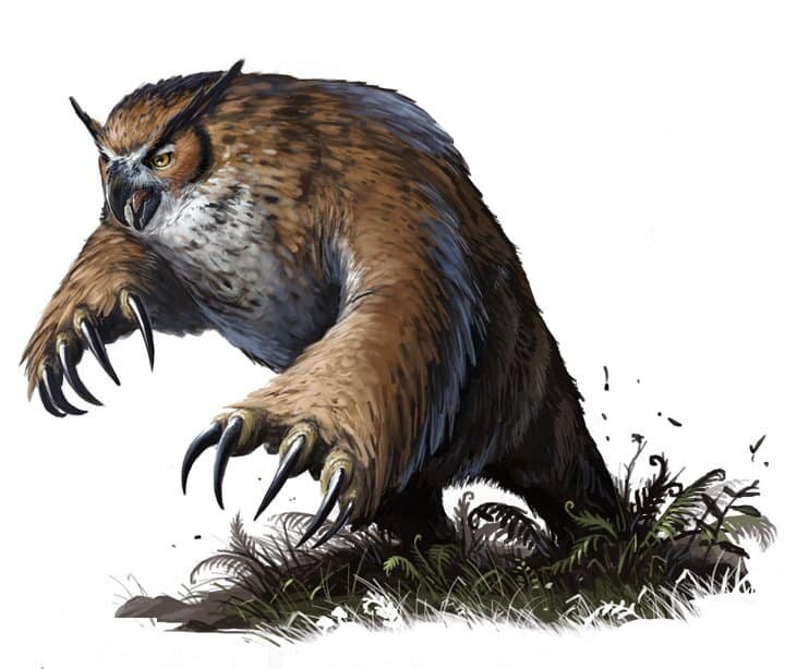 owl bear owl bear