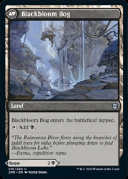 BlackbloomBog