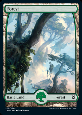 Forest1