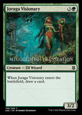 Joragavisionary