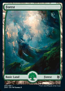 forest3